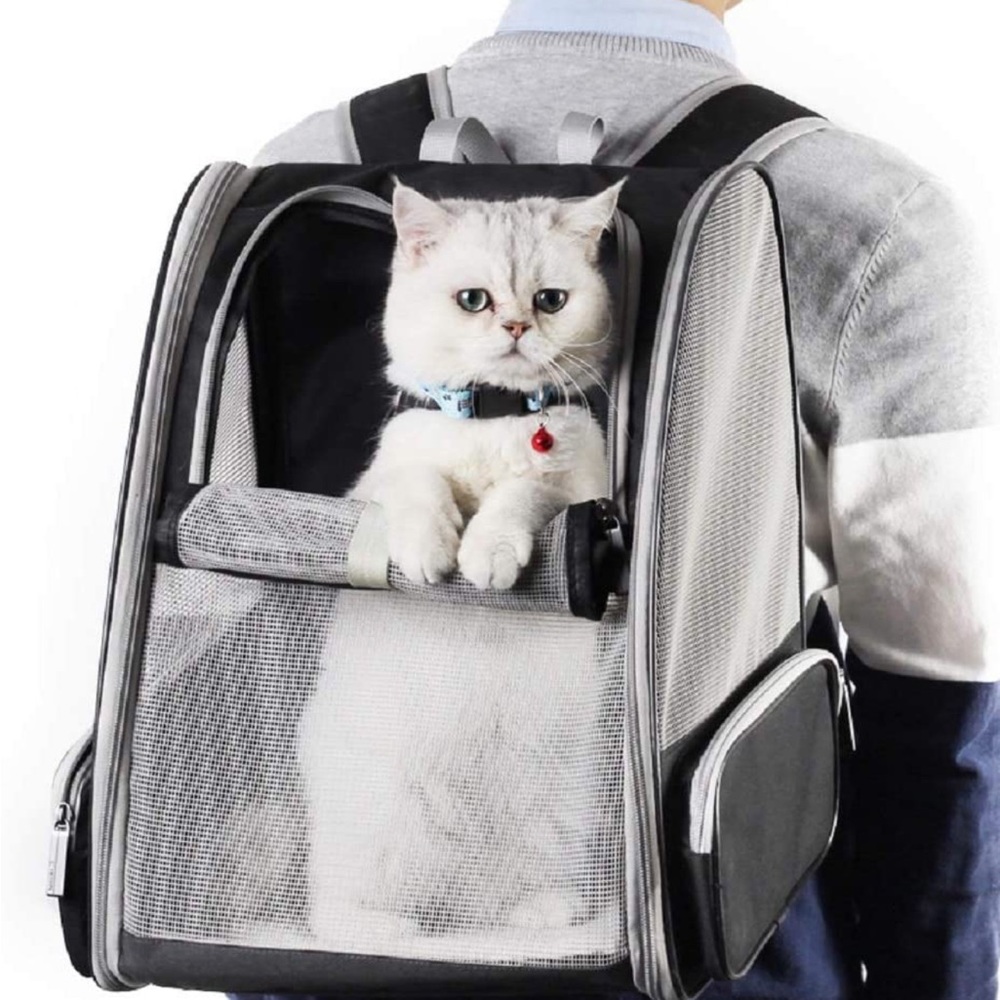 Innovative Traveler Bubble Backpack Pet Carriers for Cats and Dogs - black/gray - Picture 4 of 9